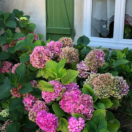 Holiday home Les Chenevieres Culey