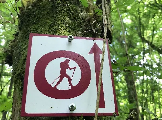 Hébergement de vacances Les Chenevières Culey